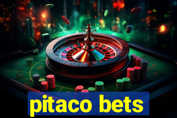 pitaco bets